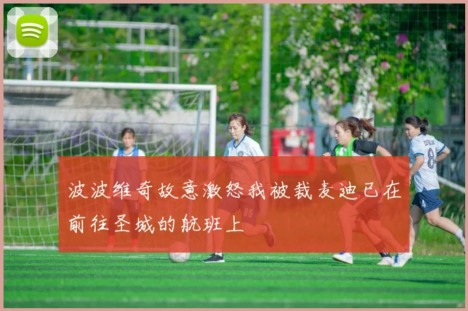 波波维奇故意激怒我被裁麦迪已在前往圣城的航班上